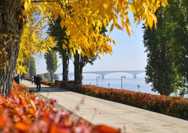 Обращения подписчиков