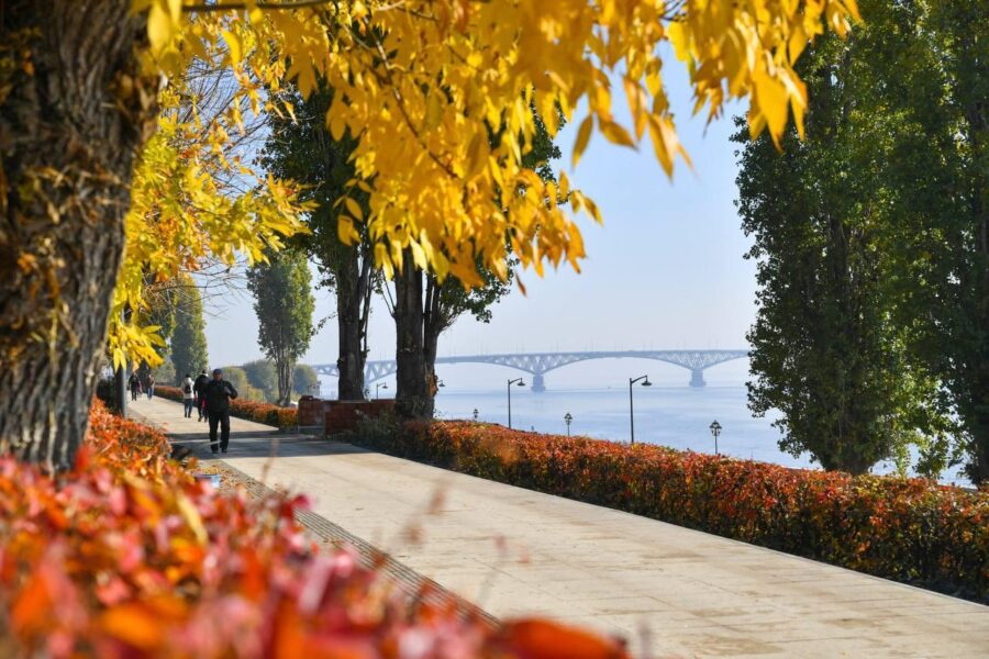 Обращения подписчиков