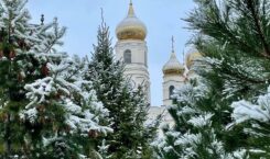 Первый снег