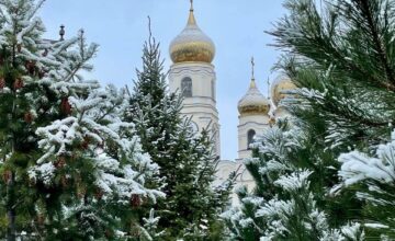 Первый снег