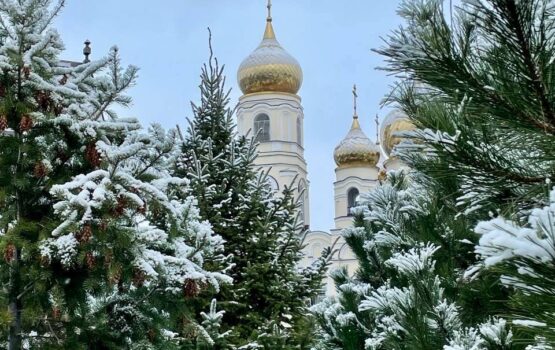 Первый снег