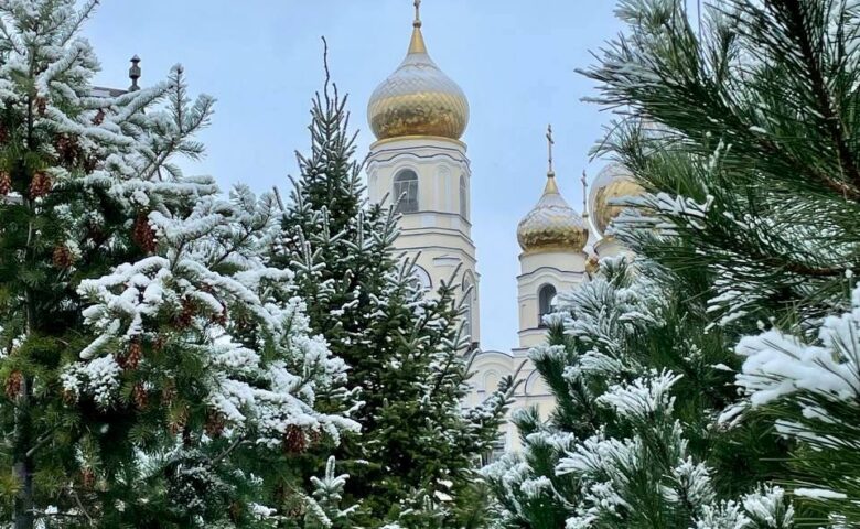 Первый снег