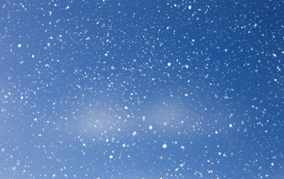 Володин  – местным властям: сделайте все возможное, чтобы люди от снега проблем не испытывали