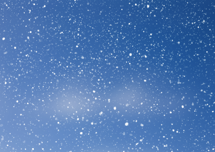 Володин  – местным властям: сделайте все возможное, чтобы люди от снега проблем не испытывали