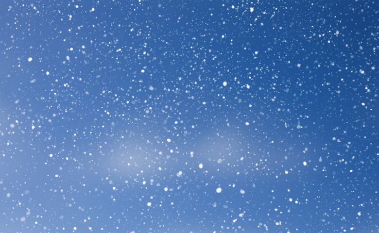 Володин  – местным властям: сделайте все возможное, чтобы люди от снега проблем не испытывали