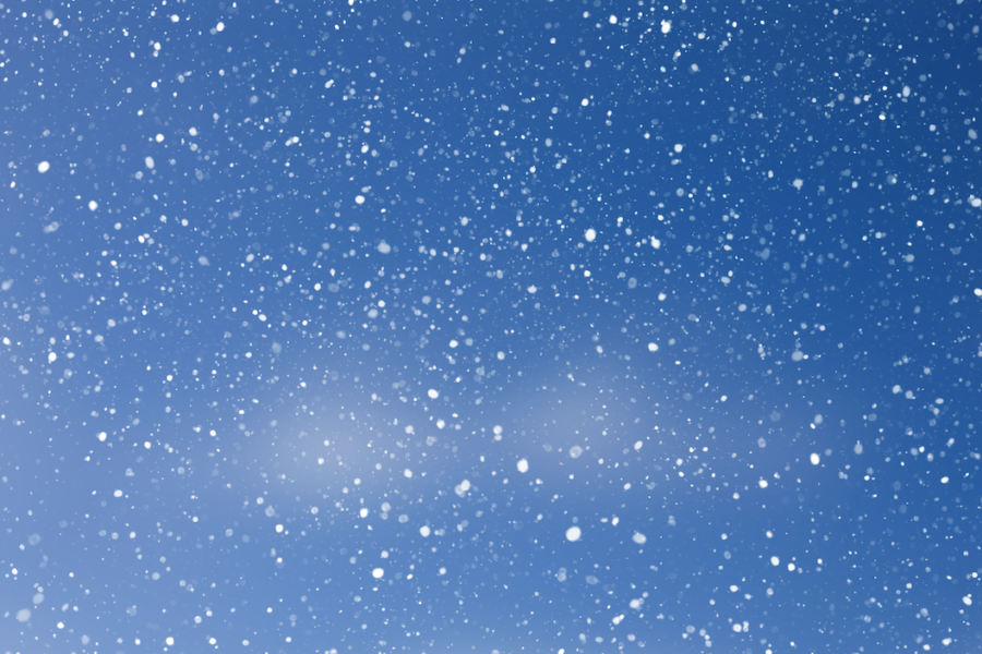 Володин  – местным властям: сделайте все возможное, чтобы люди от снега проблем не испытывали