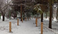 Второй этап реконструкции Ботанического сада