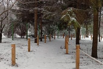 Второй этап реконструкции Ботанического сада