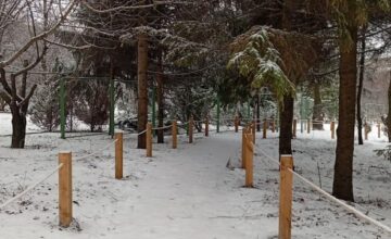 Второй этап реконструкции Ботанического сада