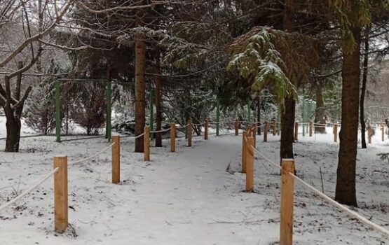 Второй этап реконструкции Ботанического сада