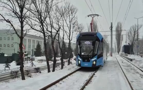 Львята сегодня вышли на техническую обкатку