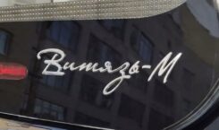 Девятый Витязь