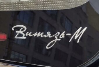 Девятый Витязь