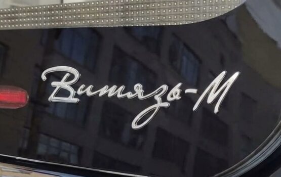 Девятый Витязь