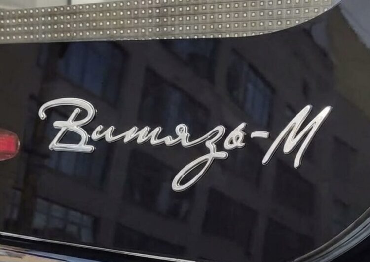 Девятый Витязь