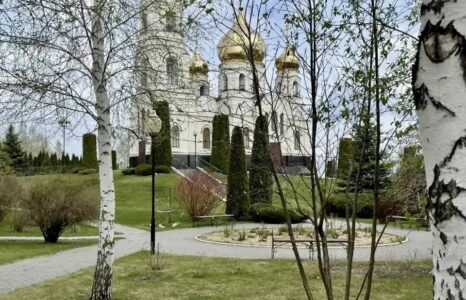 Природа оживает