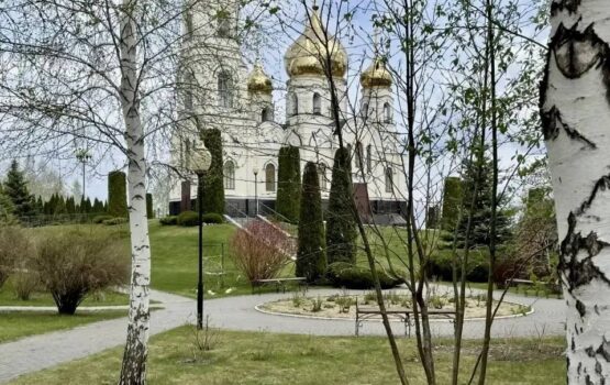 Природа оживает