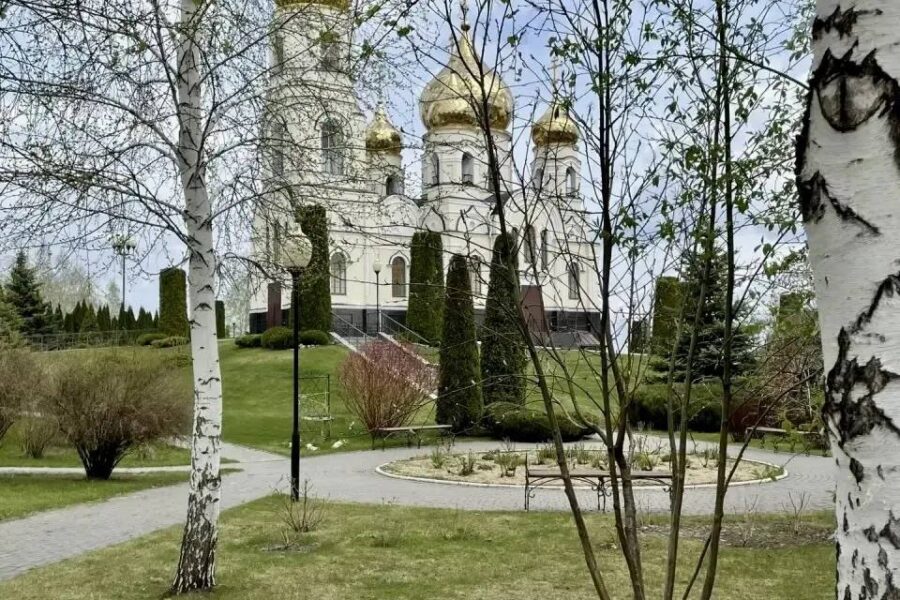 Природа оживает